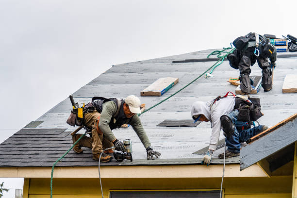 Professional Gutter Installation technician working in Willernie, MN